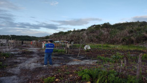 Suofis retira estruturas irregulares na poligonal dos Parque das Dunas