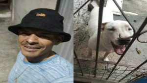 Eletricista morre após ser atacado por dois cachorros da raça Pitbull em Camaçari