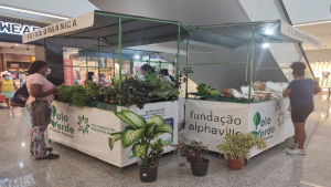 Feira de orgânicos no Boulevard Shopping Camaçari amplia rede de produtos com Pancs