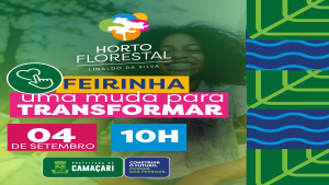 Feirinha Uma muda para transformar acontece neste domingo (4)