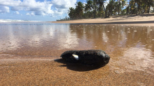 Aparecimento de óleo na praia de Busca Vida alerta para medidas preventivas