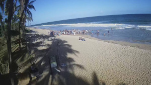 Período de defeso do caranguejo-uçá mobiliza ambientalistas e moradores de Busca Vida até 26 de fevereiro