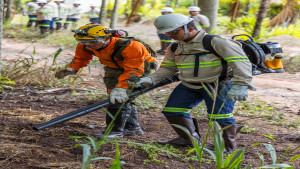 Bracell tem balanço positivo no combate a incêndios florestais