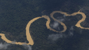 Indígenas denunciam assassinato de três yanomami em Roraima