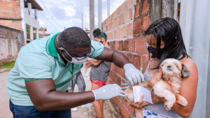 Sesau Camaçari realiza ações continuadas no combate à raiva animal no município