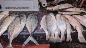 Feira do Peixe em Camaçari tem diversos produtos típicos da Semana Santa