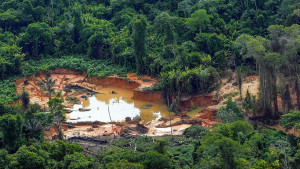 Mulher é encontrada morta em Terra Indígena Yanomami