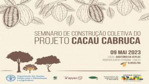 Governo da Bahia contribui com o Projeto Cacau Cabruca da FAO