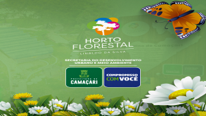 Sedur abre inscrições para capacitações ambientais no horto florestal