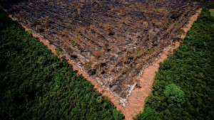 Amazonas registrou o segundo maior acumulado de queimadas para setembro desde 1998