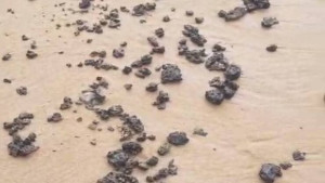 Pesquisadores apontam que óleo encontrado em praias da Bahia pode ter vindo do Kuwait