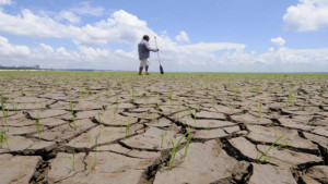 Seca na Bahia: 58 cidades estão em situação de emergência; autoridades buscam reforço