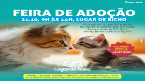 Feira de Adoção de Cachorros e Gatos da Lugar de Bicho - Uma Chance de Fazer a Diferença na Vida de um Animalzinho