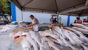 Tradicional Feira do Peixe tem início nesta terça (26) em Camaçari