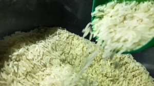 Com enchentes no RS, Brasil vai importar arroz para evitar especulação de preços