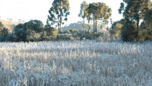 Brasil registra menor temperatura do ano com -7,6ºC