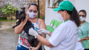 Dia D de vacinação antirrábica animal acontece na costa do município neste sábado (17)