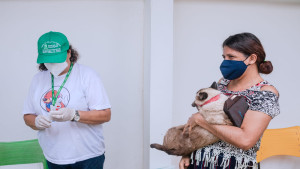 Dia D de vacinação antirrábica animal acontece na sede do município neste sábado (3)