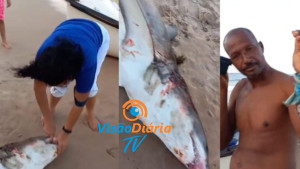 Pescador é atacado por tubarão que havia capturado em Itacimirim