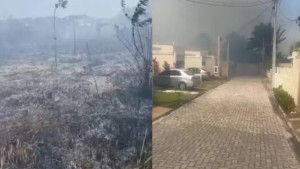 Incêndio atinge reserva indígena em Camaçari