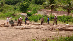Comunidade de terreiro na Bahia lança cartilha 'O Saber Ancestral e as Plantas Medicinais' com apoio da Bracell