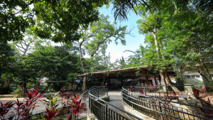 Horto de Camaçari será aberto no próximo sábado