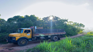 Fiscalização flagra descarte irregular de resíduos e restos de poda