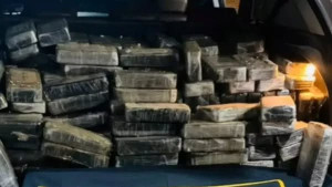 Justiça solta homem flagrado com 200 kg de cocaína e gera revolta: 'Absurdo'