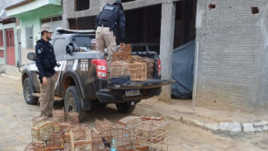 Grupo especializado em tráfico interestadual de animais silvestres é desarticulado na Bahia