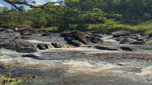 Bracell amplia monitoramento hídrico com vertedouro em afluente do rio Sauípe