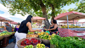 Feirinha da Prefeitura será antecipada em razão do feriado do Dia da Consciência Negra