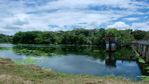 Prefeitura de Lauro de Freitas formaliza adesão à rede nacional de sustentabilidade urbana